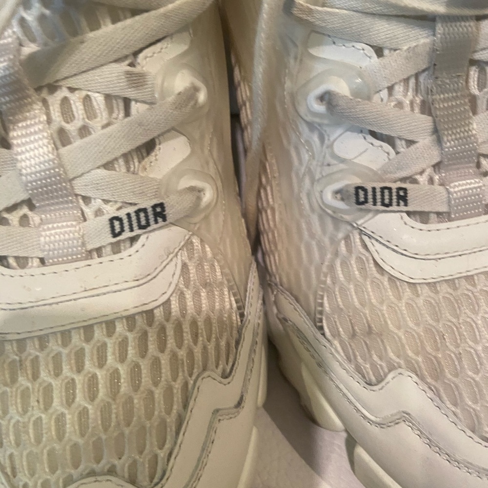 Dior sneakers